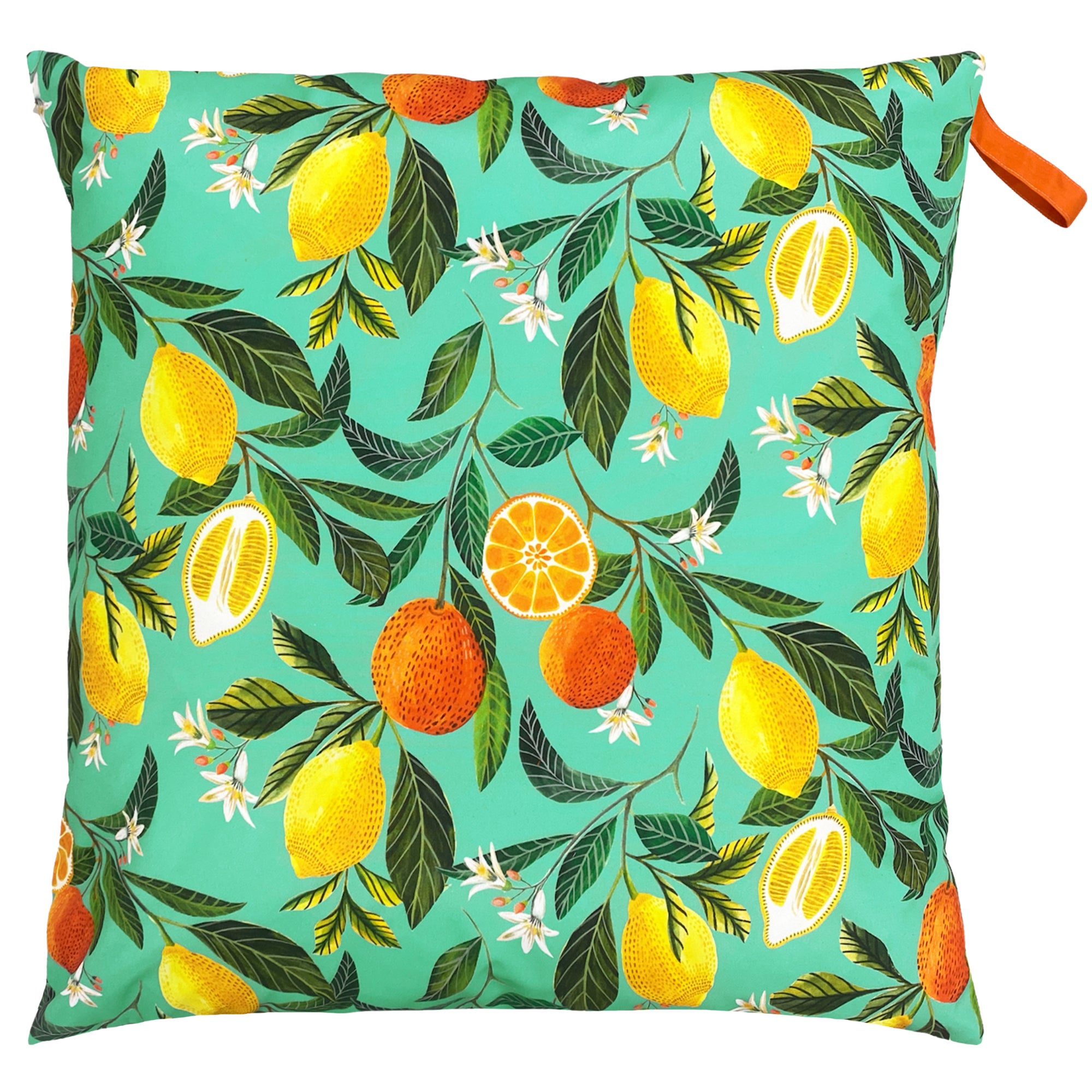 Evans Lichfield Orange Blossom Outdoor Floor Cushion MultiColoured Price Comparisons | Compare The Build