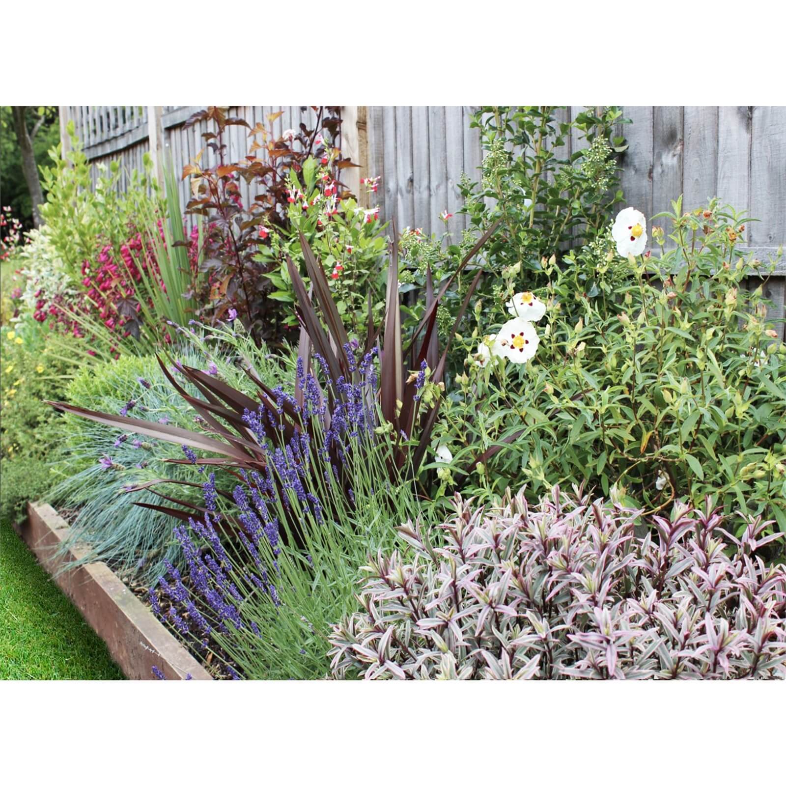 Mediterranean Border 2m X 120cm Price Comparisons | Compare The Build