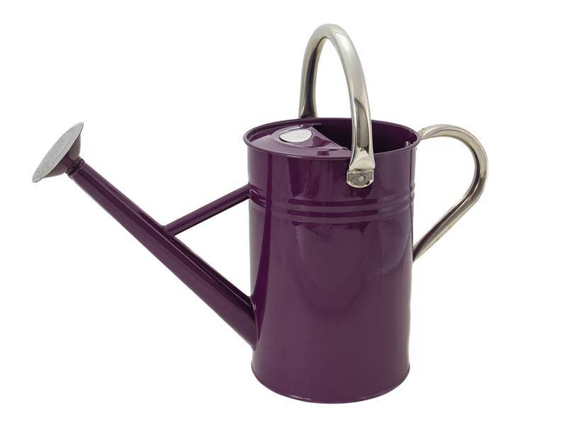 Kent & Stowe K/S34881 Metal Watering Can Deep Violet 4.5 litre Price Comparisons | Compare The Build