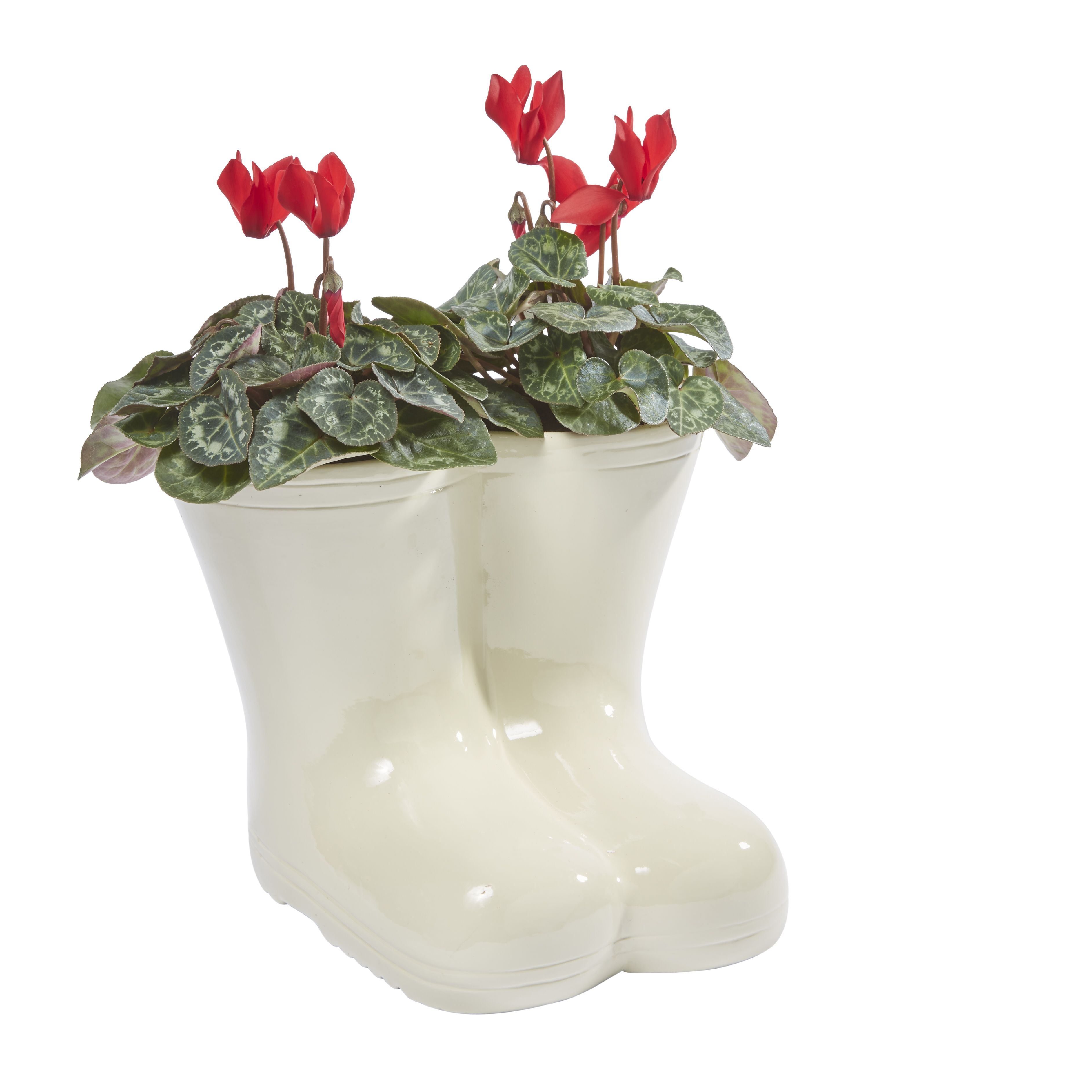 Verve Cyclamen In Cream Ceramic Welly | Compare The Build