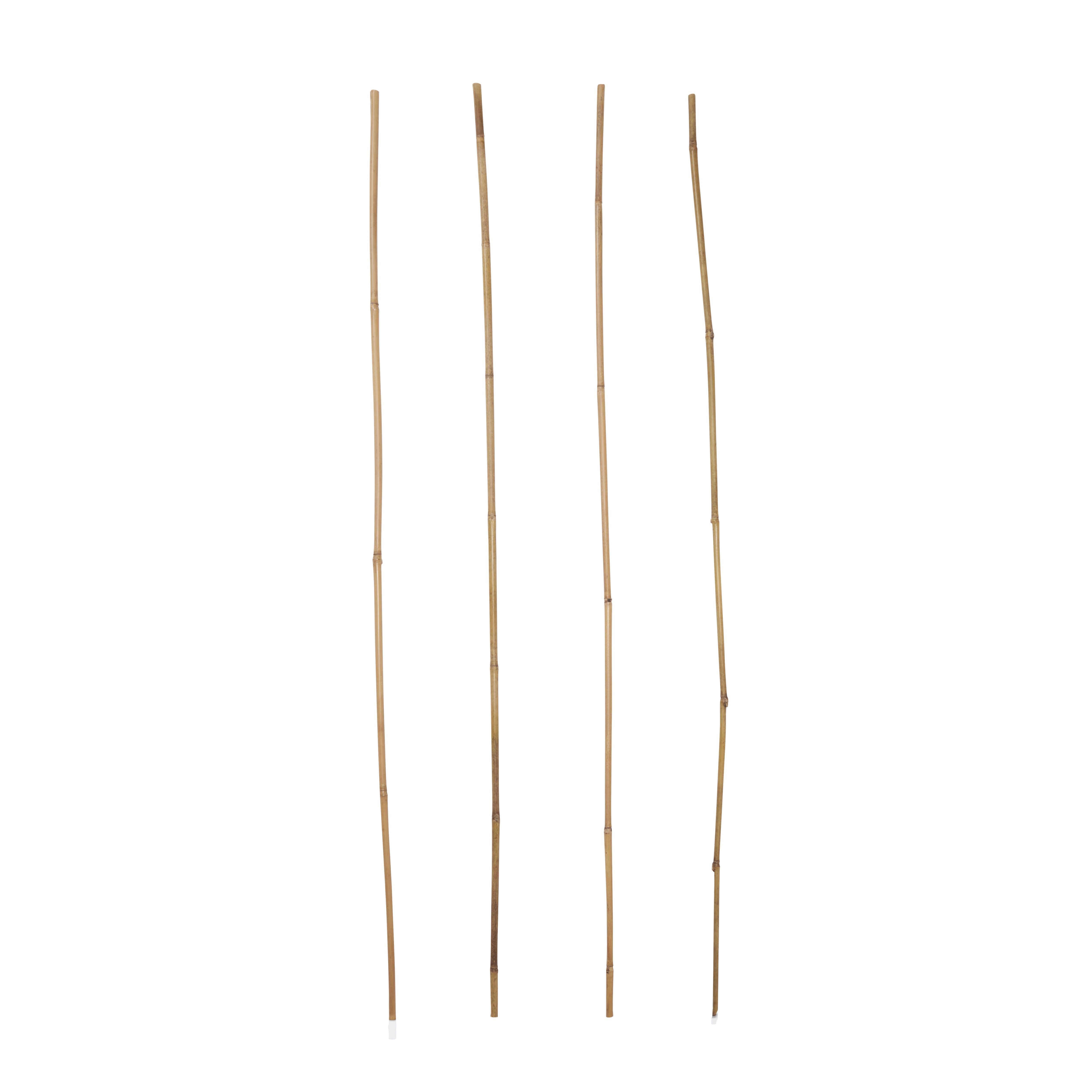 Verve Bamboo Cane 120Cm, Pack Of 20 | Compare The Build