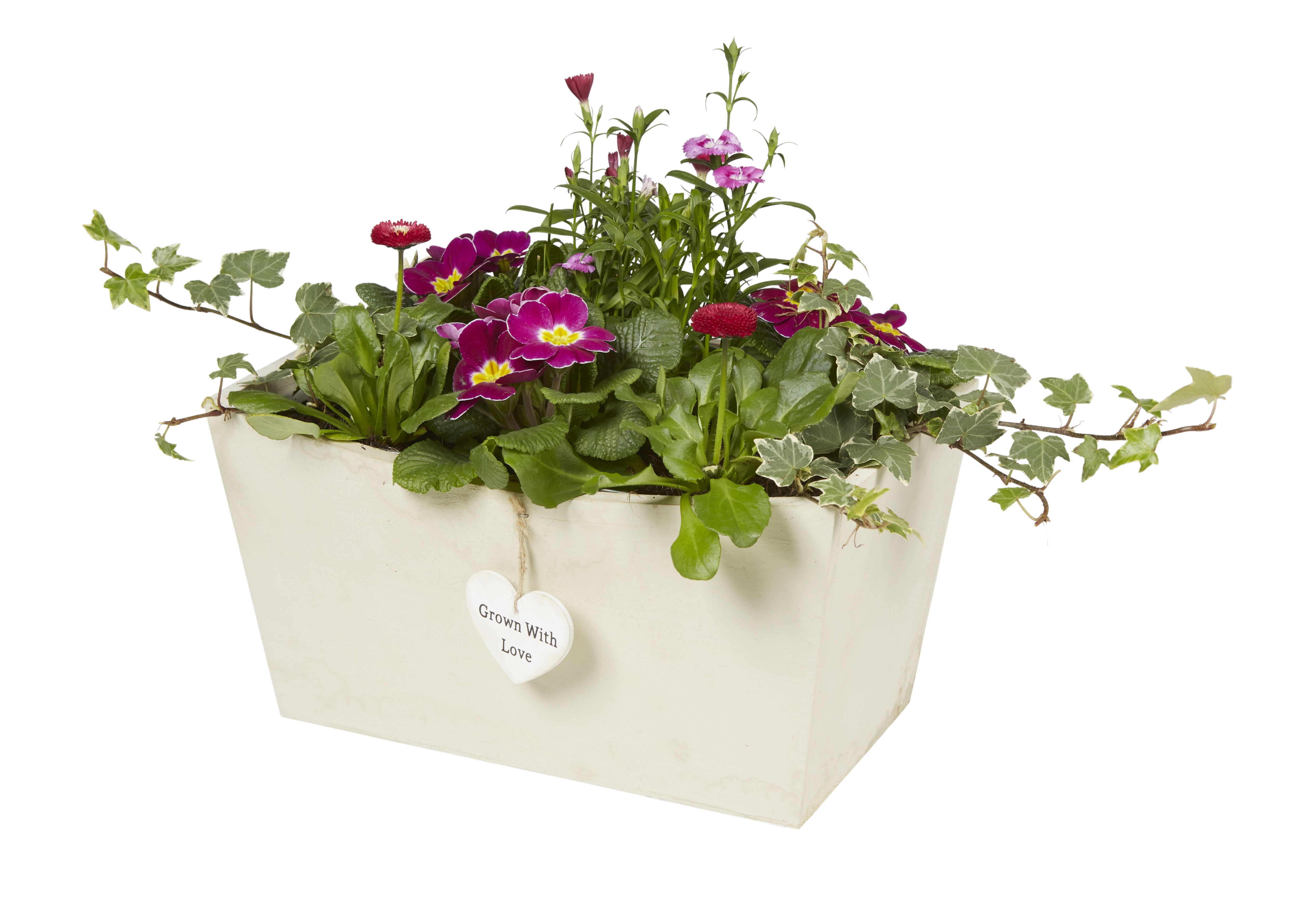 Assorted Plant In Cream Wood Trough Price Comparisons | Compare The Build